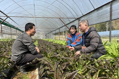 鏡頭|田間地頭農(nóng)事忙 下沉監(jiān)督護(hù)春耕