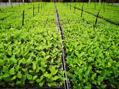 教學(xué)科研 理學(xué)與信息科學(xué)學(xué)院 理信