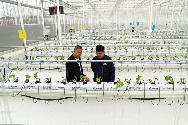 呂欣:&ldquo;第四產業&rdquo;興起,我們找到了新科技革命的&ldquo;爆發點&rdquo;?