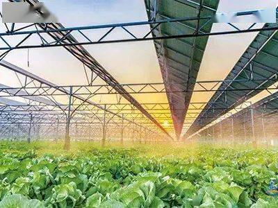 現代種業、鄉村新型服務業&hellip;國家鄉村振興局鼓勵社會資本投資這些涉農產業!