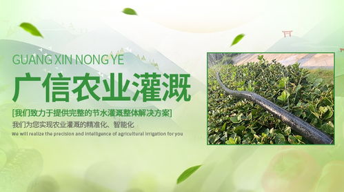 信陽市商城縣斜五孔微噴帶全國發貨直射在空中的水流就能形成類似