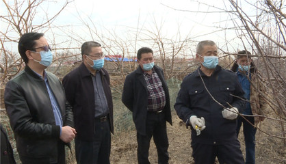 新疆奎屯市科技局送種植技術(shù)下鄉(xiāng)