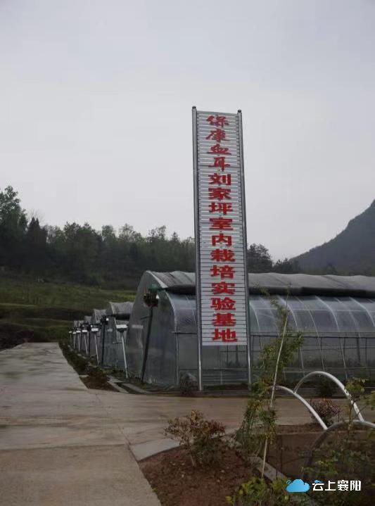 全省唯一 襄陽首個