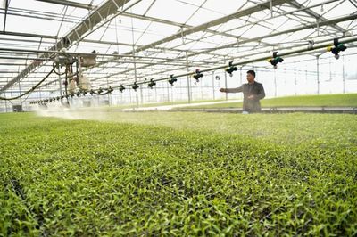 以服務之長,補農業(yè)之短!