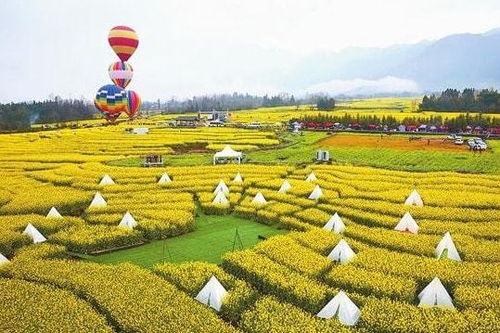 政策 國家發(fā)力農(nóng)業(yè)服務創(chuàng)新 溫氏 樓房養(yǎng)豬仍處于試驗階段