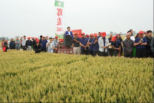 優(yōu)特產(chǎn)業(yè)支撐計劃優(yōu)質(zhì)小麥專項在滑縣召開觀摩會 鄭麥1860樹立 種糧一體化 新標桿