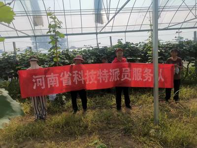 河南省科技特派員王尚堃赴鄲城縣開展&lsquo;陽光玫瑰&rsquo;葡萄栽培管理技術(shù)服務指導