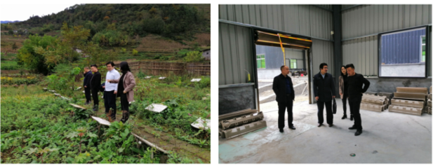 農(nóng)生學(xué)院組織&ldquo;專家團(tuán)隊&rdquo;深入企業(yè)開展科技服務(wù)