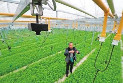 農(nóng)業(yè)科技報-內(nèi)容詳細