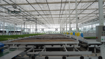 科技賦能 助力未來農(nóng)業(yè)高質(zhì)量發(fā)展--走進新疆農(nóng)業(yè)博覽園