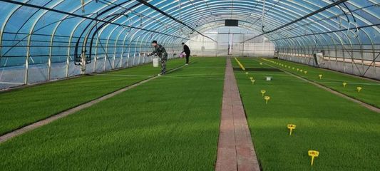 稼穡篤行|前進農(nóng)場農(nóng)業(yè)科技服務(wù)中心