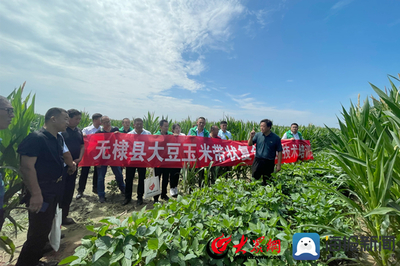 無棣縣科技特派員送“技”到田間，助力農業科技服務升級